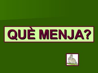 QUÈ MENJA? 