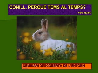 SEMINARI DESCOBERTA DE L’ENTORN MAIG-2007 CONILL, PERQUÈ TEMS AL TEMPS?  Pere Quart 