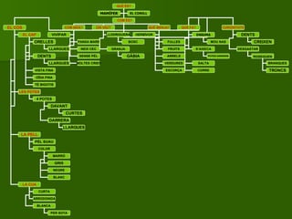 QUÈ ÉS? COM ÉS?  MAMÍFER EL CONILL EL COS COM NEIX? ON VIU? EL CAP LES POTES LA PELL PÈL SUAU LA CUA ORELLES  DENTS VISTA FINA 4 POTES COLOR MARRÓ GRIS NEGRE BLANC CURTA ARRODONIDA OÏDA FINA TÉ BIGOTIS DAVANT DARRERA BLANCA  QUÈ MENJA? QUÈ FA? CURIOSITATS LLODRIGUERA GRANJA PANXA MARE NEIX CEC SENSE PÈL MOLTES CRIES VIVÍPAR BOSC GÀBIA FULLES HERBÍVOR FRUITS ARRELS VERDURES ESCORÇA DENTS CREIXEN DESGASTAR ENSUMA S’AIXECA MOU NAS POTES DARRERE SALTA CORRE LLARGUES LLARGUES CURTES LLARGUES ROSEGUEN BRANQUES TRONCS PER SOTA 