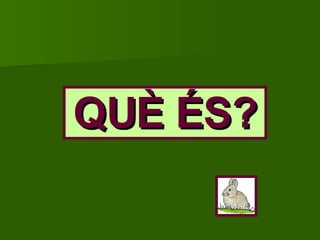 QUÈ ÉS? 