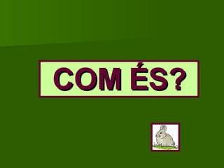 COM ÉS? 
