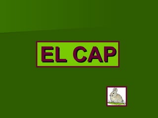 EL CAP 