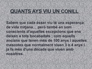 QUANTS AYS VIU UN CONILL
Sabem que cada ésser viu té una esperança
de vida mitjana… però també en som
conscients d’aquelles excepcions que ens
deixen a tots bocabadats ; com aquells
ancians que tenen més de 100 anys i aquelles
mascotes que normalment viuen 3 o 4 anys i
ja fa més d'una dècada que viuen amb
nosaltres.
 