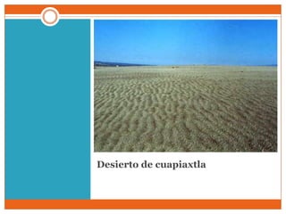 Desierto de cuapiaxtla
 
