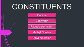 CONSTITUENTS
Coniine
Conhydrin
Pseudo-conhydrin
Methyl Coniine
Ethyl-piperdine
 