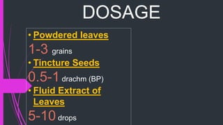 DOSAGE
• Powdered leaves
1-3 grains
• Tincture Seeds
0.5-1drachm (BP)
• Fluid Extract of
Leaves
5-10drops
 