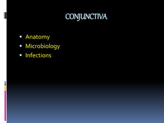 CONJUNCTIVA
 Anatomy
 Microbiology
 Infections
 