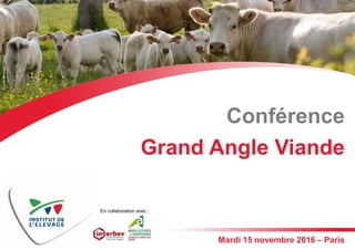 Conférence
Grand Angle Viande
Mardi 15 novembre 2016 – Paris
En collaboration avec :
©VolkerWierzba-Fotolia
 