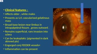 • Clinical features :
• Affects older , white males
• Presents as U/L vascularised gelatinous
mass
• Broad base lesion near limbus in
intrapalpebral fissure , grows outward .
• Remains superficial, rare invasion into
sclera
• Can be leukoplakic (pigmented in dark
skinned pts)
• Engorged conj FEEDER vessels+
• Inflammation can be present
 
