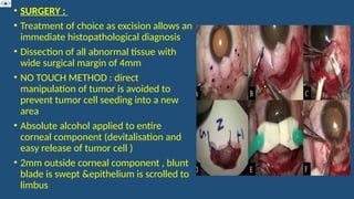 • SURGERY :
• Treatment of choice as excision allows an
immediate histopathological diagnosis
• Dissection of all abnormal tissue with
wide surgical margin of 4mm
• NO TOUCH METHOD : direct
manipulation of tumor is avoided to
prevent tumor cell seeding into a new
area
• Absolute alcohol applied to entire
corneal component (devitalisation and
easy release of tumor cell )
• 2mm outside corneal component , blunt
blade is swept &epithelium is scrolled to
limbus
 