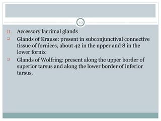 10
II. Accessory lacrimal glands
 Glands of Krause: present in subconjunctival connective
tissue of fornices, about 42 in the upper and 8 in the
lower fornix
 Glands of Wolfring: present along the upper border of
superior tarsus and along the lower border of inferior
tarsus.
 