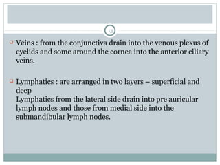 13
 Veins : from the conjunctiva drain into the venous plexus of
eyelids and some around the cornea into the anterior ciliary
veins.
 Lymphatics : are arranged in two layers – superficial and
deep
Lymphatics from the lateral side drain into pre auricular
lymph nodes and those from medial side into the
submandibular lymph nodes.
 