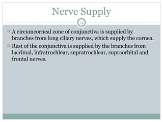 Nerve Supply
14
 A circumcorneal zone of conjunctiva is supplied by
branches from long ciliary nerves, which supply the cornea.
 Rest of the conjunctiva is supplied by the branches from
lacrimal, infratrochlear, supratrochlear, supraorbital and
frontal nerves.
 