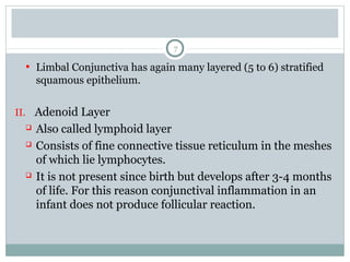 7
• Limbal Conjunctiva has again many layered (5 to 6) stratified
squamous epithelium.
II. Adenoid Layer
 Also called lymphoid layer
 Consists of fine connective tissue reticulum in the meshes
of which lie lymphocytes.
 It is not present since birth but develops after 3-4 months
of life. For this reason conjunctival inflammation in an
infant does not produce follicular reaction.
 
