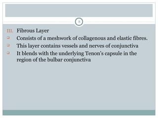 8
III. Fibrous Layer
 Consists of a meshwork of collagenous and elastic fibres.
 This layer contains vessels and nerves of conjunctiva
 It blends with the underlying Tenon’s capsule in the
region of the bulbar conjunctiva
 