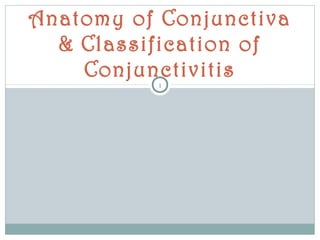 Anatomy of Conjunctiva
& Classification of
Conjunctivitis
1
 