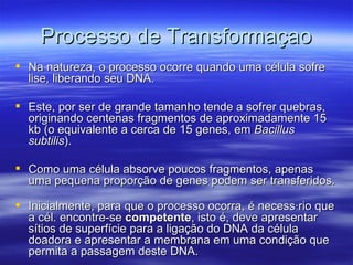Processo de Transformaçao
 Na natureza, o processo ocorre quando uma célula sofre
  lise, liberando seu DNA.

 Este, por ser de grande tamanho tende a sofrer quebras,
  originando centenas fragmentos de aproximadamente 15
  kb (o equivalente a cerca de 15 genes, em Bacillus
  subtilis).

 Como uma célula absorve poucos fragmentos, apenas
  uma pequena proporção de genes podem ser transferidos.

 Inicialmente, para que o processo ocorra, é necessário que
  a cél. encontre-se competente, isto é, deve apresentar
  sítios de superfície para a ligação do DNA da célula
  doadora e apresentar a membrana em uma condição que
  permita a passagem deste DNA.
 