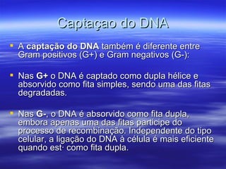 Captaçao do DNA
 A captação do DNA também é diferente entre
  Gram positivos (G+) e Gram negativos (G-):

 Nas G+ o DNA é captado como dupla hélice e
  absorvido como fita simples, sendo uma das fitas
  degradadas.

 Nas G-, o DNA é absorvido como fita dupla,
  embora apenas uma das fitas participe do
  processo de recombinação. Independente do tipo
  celular, a ligação do DNA à célula é mais eficiente
  quando está como fita dupla.
 