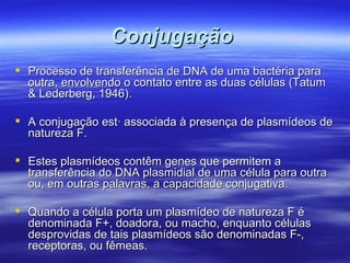 Conjugação
 Processo de transferência de DNA de uma bactéria para
  outra, envolvendo o contato entre as duas células (Tatum
  & Lederberg, 1946).

 A conjugação está associada à presença de plasmídeos de
  natureza F.

 Estes plasmídeos contêm genes que permitem a
  transferência do DNA plasmidial de uma célula para outra
  ou, em outras palavras, a capacidade conjugativa.

 Quando a célula porta um plasmídeo de natureza F é
  denominada F+, doadora, ou macho, enquanto células
  desprovidas de tais plasmídeos são denominadas F-,
  receptoras, ou fêmeas.
 