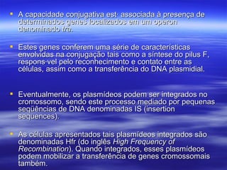  A capacidade conjugativa está associada à presença de
  determinados genes localizados em um operon
  denominado tra.

 Estes genes conferem uma série de características
  envolvidas na conjugação tais como a síntese do pilus F,
  responsável pelo reconhecimento e contato entre as
  células, assim como a transferência do DNA plasmidial.


 Eventualmente, os plasmídeos podem ser integrados no
  cromossomo, sendo este processo mediado por pequenas
  seqüências de DNA denominadas IS (insertion
  sequences).

 As células apresentados tais plasmídeos integrados são
  denominadas Hfr (do inglês High Frequency of
  Recombination). Quando integrados, esses plasmídeos
  podem mobilizar a transferência de genes cromossomais
  também.
 