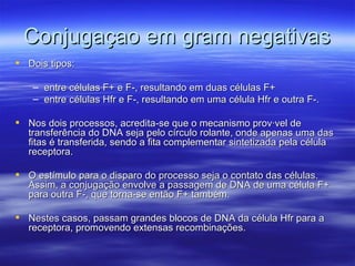Conjugaçao em gram negativas
 Dois tipos:

    – entre células F+ e F-, resultando em duas células F+
    – entre células Hfr e F-, resultando em uma célula Hfr e outra F-.

 Nos dois processos, acredita-se que o mecanismo provável de
  transferência do DNA seja pelo círculo rolante, onde apenas uma das
  fitas é transferida, sendo a fita complementar sintetizada pela célula
  receptora.

 O estímulo para o disparo do processo seja o contato das células.
  Assim, a conjugação envolve a passagem de DNA de uma célula F+
  para outra F-, que torna-se então F+ também.

 Nestes casos, passam grandes blocos de DNA da célula Hfr para a
  receptora, promovendo extensas recombinações.
 