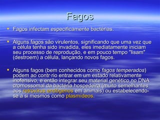Fagos
 Fagos infectam especificamente bactérias.

 Alguns fagos são virulentos, significando que uma vez que
  a célula tenha sido invadida, eles imediatamente iniciam
  seu processo de reprodução, e em pouco tempo "lisam"
  (destroem) a célula, lançando novos fagos.

 Alguns fagos (bem conhecidos como fagos temperados)
  podem ao contrário entrar em um estado relativamente
  inofensivo, e então integrar seu material genético no DNA
  cromossomal da bactéria hospedeira (muito semelhantes
  aos retrovírus endógenos em animais) ou estabelecendo-
  se a si mesmos como plasmídeos.
 