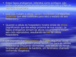  Estes fagos endógenos, referidos como profagos, são
  então copiados a cada divisão celular junto com o DNA da
  bactéria hospedeira.

 Eles não matam a célula, porém monitoram (via algumas
  proteínas que eles codificam para isto) o estado de seu
  hospedeiro.

 Quando a célula do hospedeiro mostra sinais de stress
  (significando que ela esteja próxima de sua morte), os
  fagos endógenos tornam-se ativos novamente e iniciam
  seu ciclo reprodutivo, resultando na lise de célula
  hospedeira.

 Um exemplo é o fago lambda da E. coli. Algumas vezes,
  mesmo profagos podem prover benefícios para as células
  hospedeiras enquando dormentes, pela adição de novas
  funções ao genoma da bactéria, um fenômeno chamado
  conversão lisogênica.
 