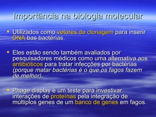 Importância na biologia molecular
 Utilizados como vetores de clonagem para inserir
  DNA bas bactérias.

 Eles estão sendo também avaliados por
  pesquisadores médicos como uma alternativa aos
  antibióticos para tratar infecções por bactérias
  (porque matar bactérias é o que os fagos fazem
  de melhor).

 Phage display é um teste para investivar
  interações de proteínas pela integração de
  múltiplos genes de um banco de genes em fagos.
 