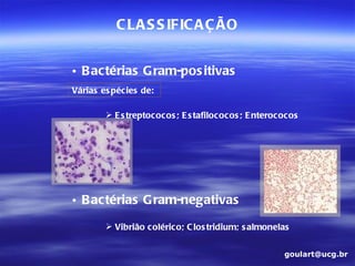 C LA S S IFIC A Ç ÃO


• B actérias G ram-pos itivas
Várias es pécies de:

         E s treptococos ; E s tafilococos ; E nterococos




• B actérias G ram-negativas
         Vibrião colérico; C los tridium; s almonelas


                                                      goulart@ucg.br
 