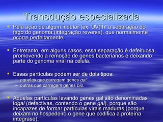 Transdução especializada
 Pela ação de algum indutor (ex: UV) há a separação do
  fago do genoma (integração reversa), que normalmente
  ocorre perfeitamente.

 Entretanto, em alguns casos, essa separação é defeituosa,
  promovendo a remoção de genes bacterianos e deixando
  parte do genoma viral na célula.

 Essas partículas podem ser de dois tipos:
   – aquelas que carregam genes gal
   – outras que carregam genes bio.

 Aquelas partículas levando genes gal são denominadas
  ldgal (defectivas, contendo o gene gal), porque são
  incapazes de formar partículas virais maduras (porque
  deixam no hospedeiro o gene que codifica a proteína
  integrase).
 