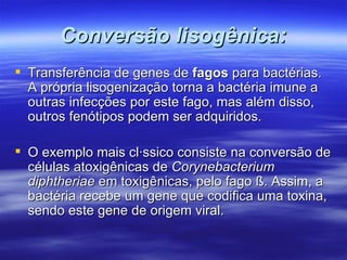Conversão lisogênica:
 Transferência de genes de fagos para bactérias.
  A própria lisogenização torna a bactéria imune a
  outras infecções por este fago, mas além disso,
  outros fenótipos podem ser adquiridos.

 O exemplo mais clássico consiste na conversão de
  células atoxigênicas de Corynebacterium
  diphtheriae em toxigênicas, pelo fago ß. Assim, a
  bactéria recebe um gene que codifica uma toxina,
  sendo este gene de origem viral.
 