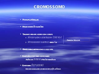 C ROMOS S OMO

• F adupl /Cir a
   it a cul r

• Difuso nar ã nucl ó
            egi o e ide

• T ma v r de a do com o gr
   a nho aia cor           upo
     < Mycop lasm a genitalium (580 Kb )
                                                 Paa ax V l r
                                                   r sit ida iv e
     > Myxococcus xanthus (920 Kb)
                              0


• G paao met bol e cicl v l
   enes r  a ismo o ita

      it í
• Const udo porpat codifica es
                 res       nt
     A ê de Introns e R õ Int gê s
      us ncia          egi es er nica

• Const uem Rep licons
      it
     Unida mol aes ca zes de r ç o a ô
          des ecul r pa       eplica ã ut noma
 