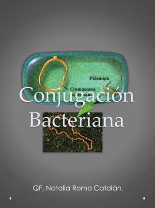 Conjugación
Bacteriana
QF. Natalia Romo Catalán.
 