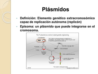 Plásmidos
• Definición: Elemento genético extracromosómico
capaz de replicación autónoma (replicón)
• Episoma: un plásmido que puede integrarse en el
cromosoma.
 