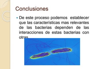 Conclusiones
 De este proceso podemos establecer
que las características mas relevantes
de las bacterias dependen de las
interacciones de estas bacterias con
otras
 