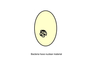 Bacteria have nuclear material

 