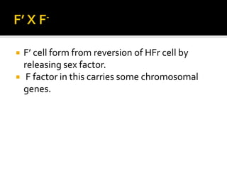 Conjugation | PPTX