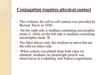 Left Conjugation Conjugation | PPTX