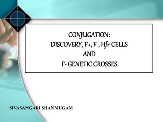 CONJUGATION:
DISCOVERY, F+, F-, Hfr CELLS
AND
F- GENETIC CROSSES
SIVASANGARI SHANMUGAM
 