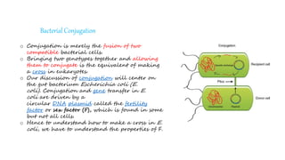 Bacterial Conjugation
o Conjugation is merely the fusion of two
compatible bacterial cells.
o Bringing two genotypes together and allowing
them to conjugate is the equivalent of making
a cross in eukaryotes.
o Our discussion of conjugation will center on
the gut bacterium Escherichia coli (E.
coli). Conjugation and gene transfer in E.
coli are driven by a
circular DNA plasmid called the fertility
factor or sex factor (F), which is found in some
but not all cells.
o Hence to understand how to make a cross in E.
coli, we have to understand the properties of F.
 