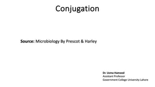 Conjugation.pdf