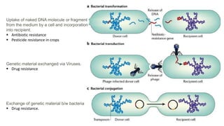 Exchange of genetic material b/w bacteria
 Drug resistance.
Genetic material exchanged via Viruses.
 Drug resistance
Uptake of naked DNA molecule or fragment
from the medium by a cell and incorporation
into recipient.
 Antibiotic resistance
 Pesticide resistance in crops
 