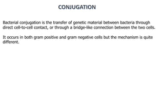 Bacterial conjugation is the transfer of genetic material between bacteria through
direct cell-to-cell contact, or through a bridge-like connection between the two cells.
It occurs in both gram positive and gram negative cells but the mechanism is quite
different.
 