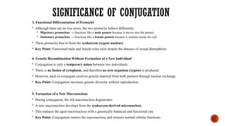 SIGNIFICANCE OF CONJUGATION
3. Functional Differentiation of Pronuclei
 Although there are no true sexes, the two pronuclei behave differently:
 Migratory pronucleus → functions like a male gamete because it moves into the partner.
 Stationary pronucleus → functions like a female gamete because it remains inside the cell.
 These pronuclei fuse to form the synkaryon (zygote nucleus).
 Key Point: Functional male and female roles exist despite the absence of sexual dimorphism.
4. Genetic Recombination Without Formation of a New Individual
 Conjugation is only a temporary union between two individuals.
 There is no fusion of cytoplasm, and therefore no new organism (zygote) is produced.
 However, each ex-conjugant receives genetic material from both partners through nuclear exchange.
 Key Point: Conjugation increases genetic diversity without reproduction.
5. Formation of a New Macronucleus
 During conjugation, the old macronucleus degenerates.
 A new macronucleus develops from the synkaryon-derived micronucleus.
 This replaces the aged macronucleus with a genetically balanced and functional one.
 Key Point: Conjugation renews the macronucleus and restores normal cellular functions.
 