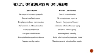 GENETIC CONSEQUENCES OF CONJUGATION
Genetic Event Genetic Consequence
Exchange of migratory pronuclei Genetic recombination
Formation of synkaryon New recombinant genotype
Development of new macronucleus Restores chromosomal balance
Replacement of old macronucleus Eliminates effects of nuclear aging
Allelic recombination Increased heterozygosity
New gene combinations Greater genetic diversity
Transmission through binary fission Stable inheritance of recombinant genes
Species-specific mating Maintains genetic integrity of the species
 