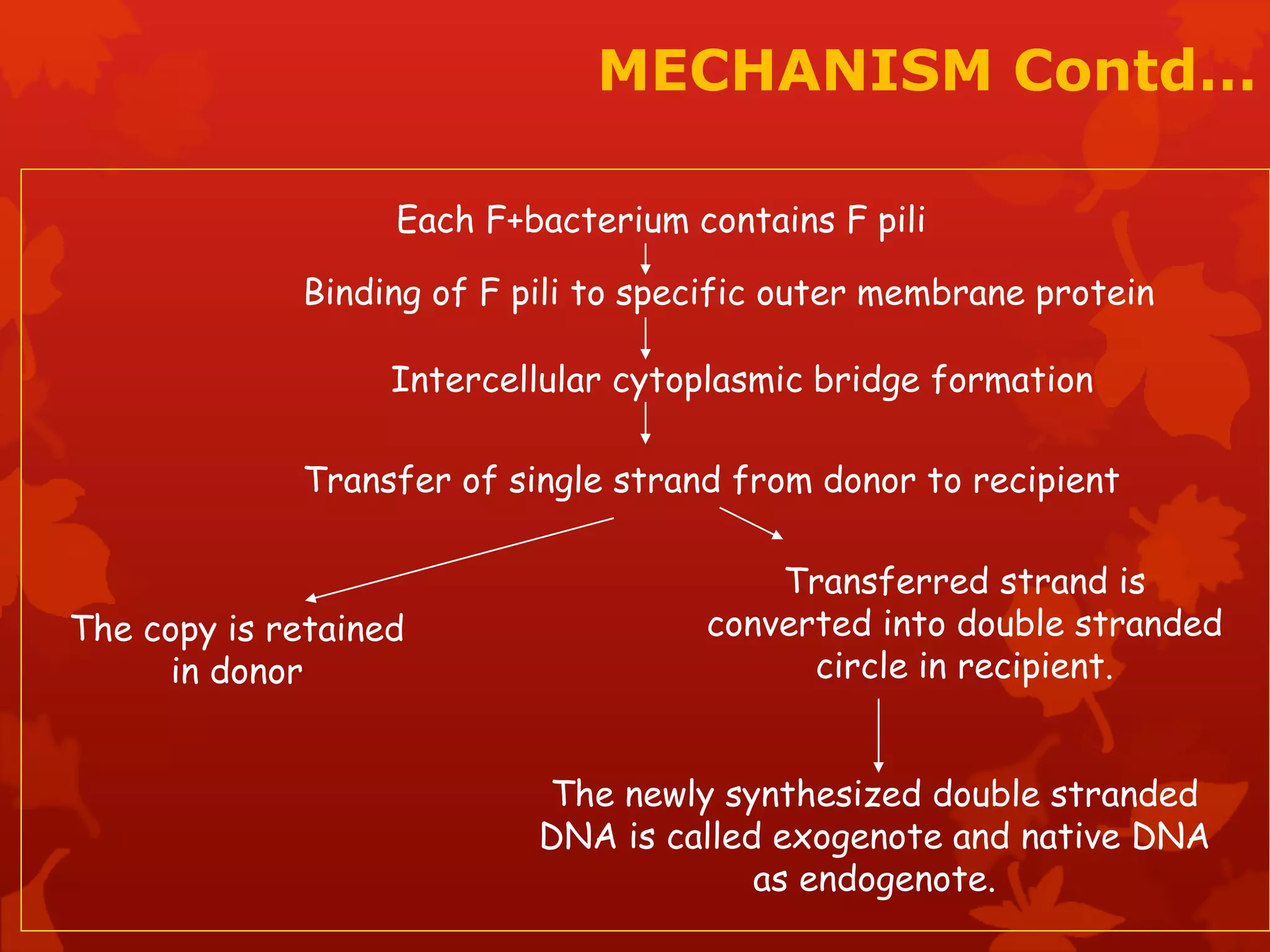 MECHANISM Contd… 
Each F+bacterium contains F pili 
Binding of F pili to specific outer membrane protein 
Intercellular cytoplasmic bridge formation 
Transfer of single strand from donor to recipient 
Transferred strand is 
converted into double stranded 
circle in recipient. 
The copy is retained 
in donor 
The newly synthesized double stranded 
DNA is called exogenote and native DNA 
as endogenote. 
 