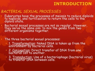 INTRODUCTION 
BACTERIAL SEXUAL PROCESSES 
• Eukaryotes have the processes of meiosis to reduce diploids 
to haploids, and fertilization to return the cells to the 
diploid state. 
• Bacterial sexual processes are not so regular. However, 
they serve the same aim: to mix the genes from two 
different organisms together. 
• The three bacterial sexual processes: 
• 1. Transformation: Naked DNA is taken up from the 
environment by bacterial cells. 
• 2. Conjugation: Direct transfer of DNA from one 
bacterial cell to another. 
• 3. Transduction: Use of a bacteriophage (bacterial virus) 
to transfer DNA between cells. 
 