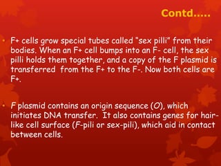Contd….. 
• F+ cells grow special tubes called “sex pilli” from their 
bodies. When an F+ cell bumps into an F- cell, the sex 
pilli holds them together, and a copy of the F plasmid is 
transferred from the F+ to the F-. Now both cells are 
F+. 
• F plasmid contains an origin sequence (O), which 
initiates DNA transfer. It also contains genes for hair-like 
cell surface (F-pili or sex-pili), which aid in contact 
between cells. 
 