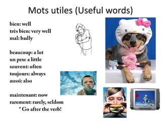 Mots utiles (Useful words)
 