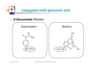 glutathione free radicals Functional and Structural Diversity of Insect Glutathione S-transferases in  Xenobiotic Adaptation